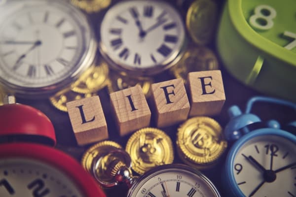 樹門流姓名判断×名前・芸名・雅号が効きはじめる時間１