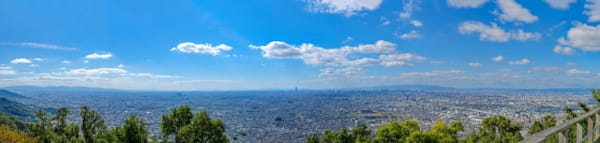 我こそは偉大な運勢なり！～サザンオールスターズほか～2