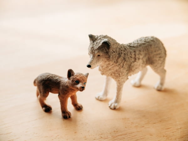 あなたの赤ちゃんの名前、付いてても間に合います！３