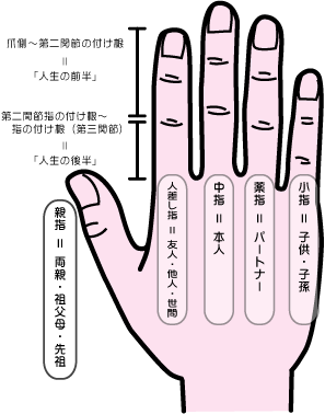 指相占い 無料 幸せの赤い糸編 魂ゆら姓名判断 樹門幸宰