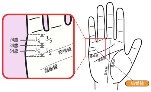 結婚線の説明