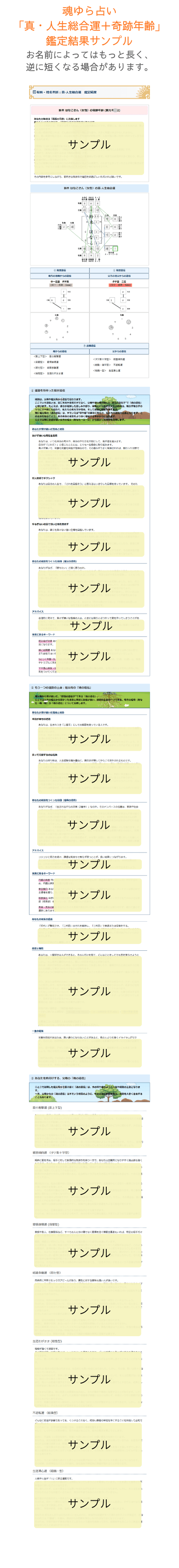 有料 - 姓名判断：真·人生総合運 + 奇跡年齢の鑑定結果サンプルをみる