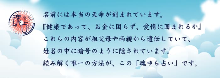 姓名判断 | 魂ゆら占い 樹門幸宰 名前にはその人の本当の天命が刻まれています。